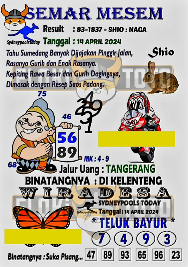 SYAIR SDY VIP